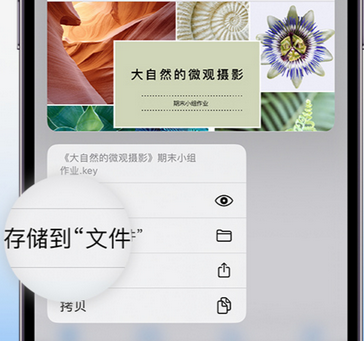 互助apple维修中心分享iPhone文件应用中存储和找到下载文件