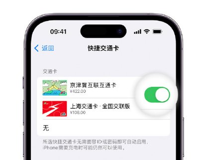 互助apple维修点分享iPhone上更换Apple Pay快捷交通卡手绘卡面 