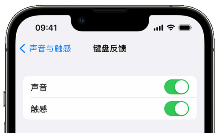 互助苹果手机维修分享iPhone 14触感键盘使用方法 