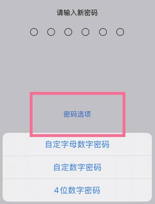 互助苹果14维修分享iPhone 14plus设置密码的方法 