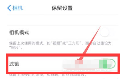 互助苹果13维修分享iPhone13拍照有绿点是怎么回事 